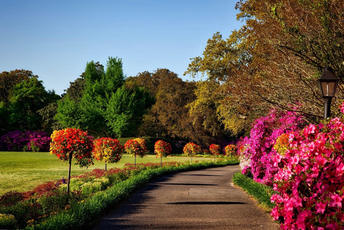 Fragrance In-Depth: Eden